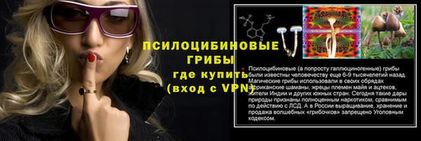 ешки Белокуриха