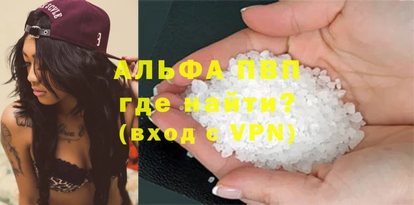 ешки Белокуриха