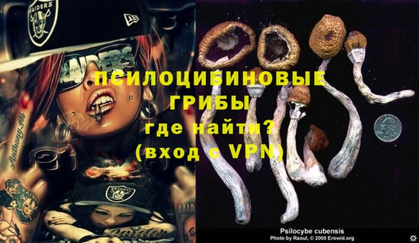 эйфоретик Белоозёрский