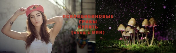 ешки Белокуриха