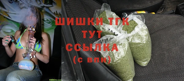 ешки Белокуриха