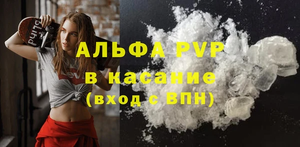 ешки Белокуриха