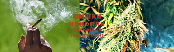 ешки Белокуриха