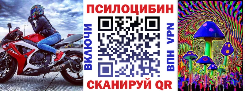Купить закладки  Нурлат  Галлюциногенные грибы Psilocybe 